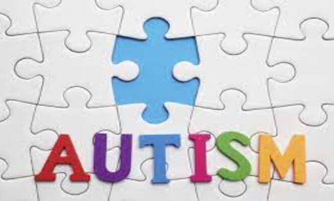 Spectrum Experiences: A Guide to an Experiential Workshop for Autism